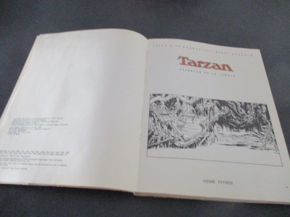 TARZAN SEIGNEUR DE LA JUNGLE Livres et BD