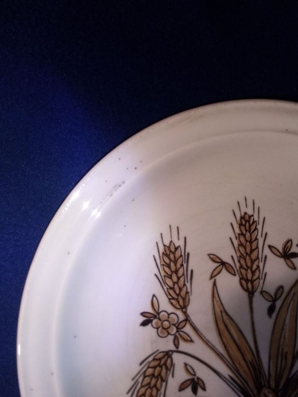 Lot 6 assiettes plates &eacute;pis de bl&eacute; en pierre de fer Décoration