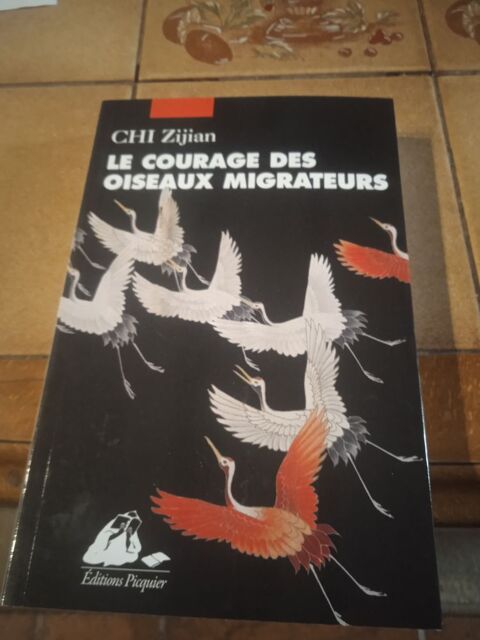 Le courage des oiseaux migrateurs 5 Chauffailles (71)