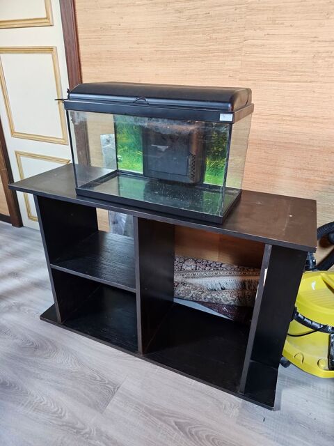 Aquarium 60L 35 77000 La rochette