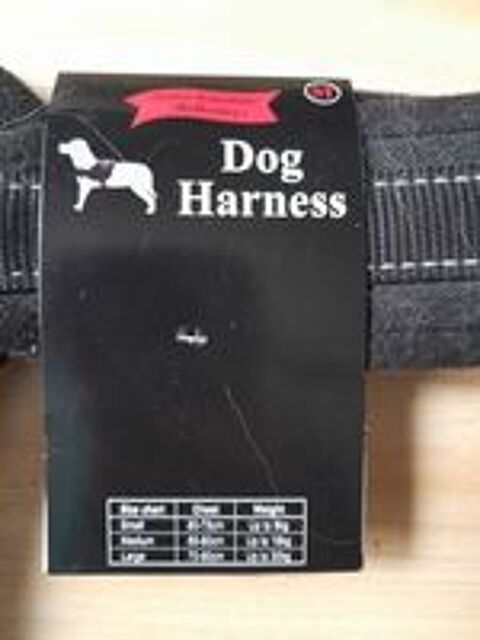   HARNAIS Chien 