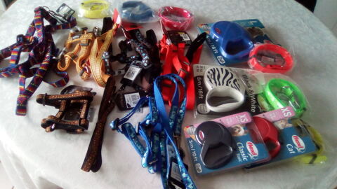 Cède ensembles collier + laisse 15 38100 Grenoble