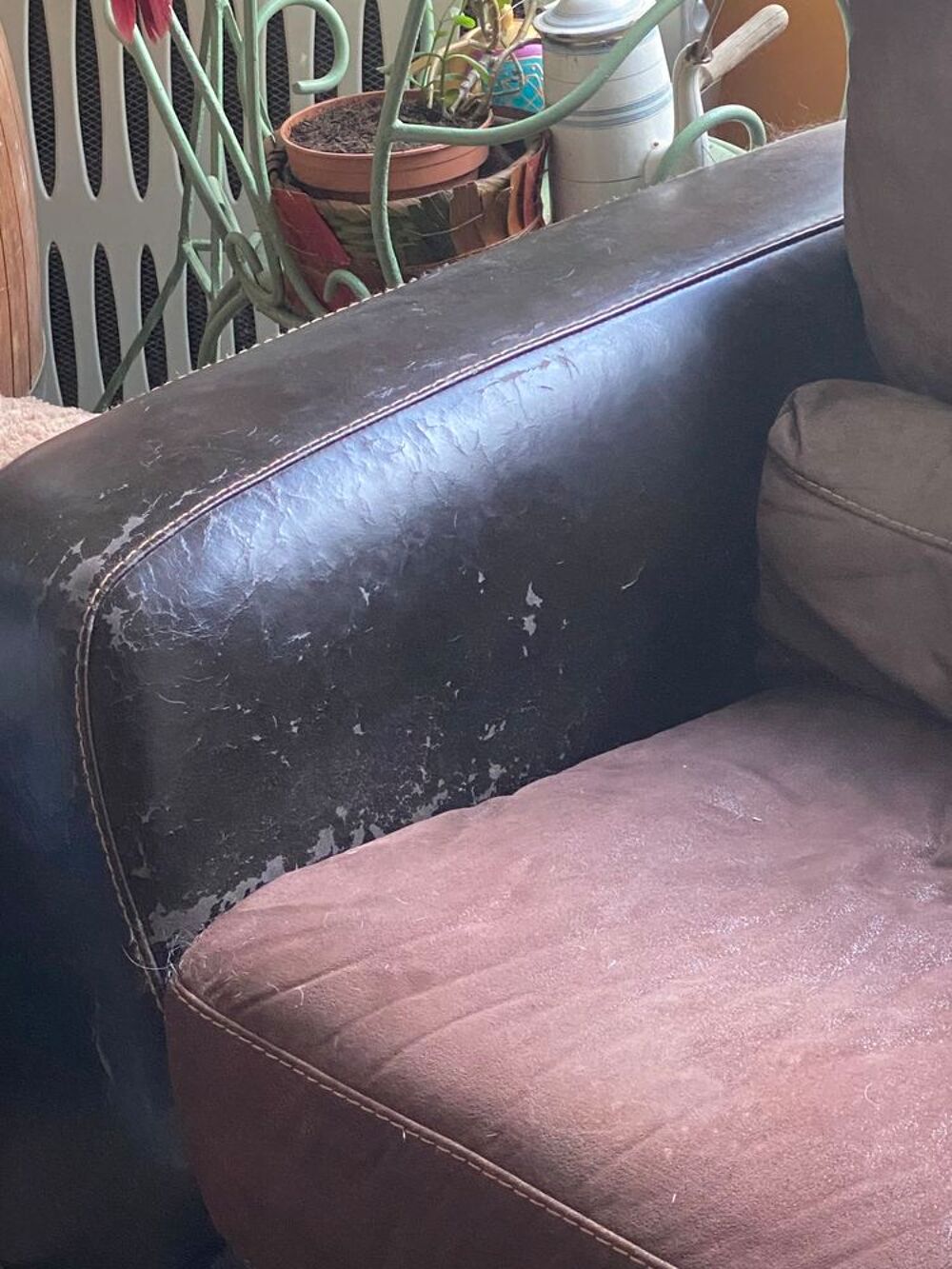 Canap&eacute; confortable et robuste Meubles