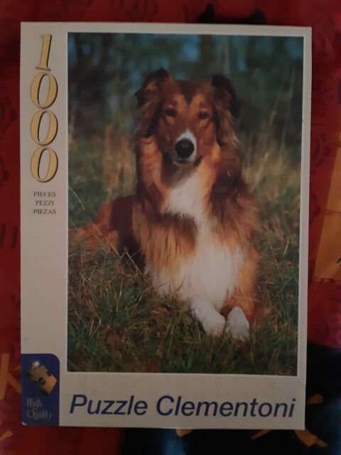 Puzzle 5 Saint-Amand-Montrond (18)