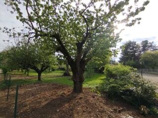  Terrain  vendre 900 m