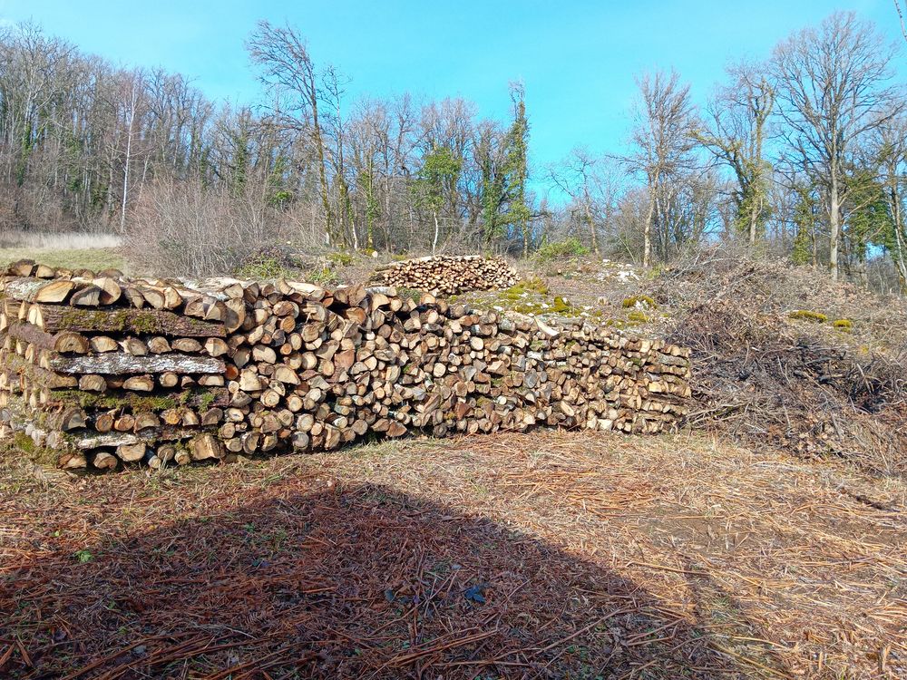 Bois chauffage Jardin