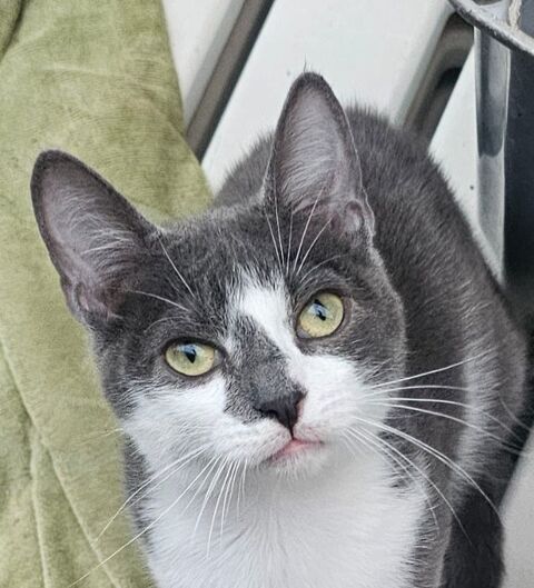 MILO 230 92150 Suresnes