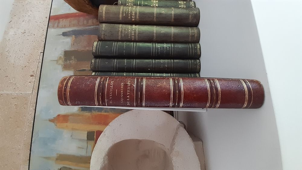 Belle reliure cuir de 1853 Livres et BD