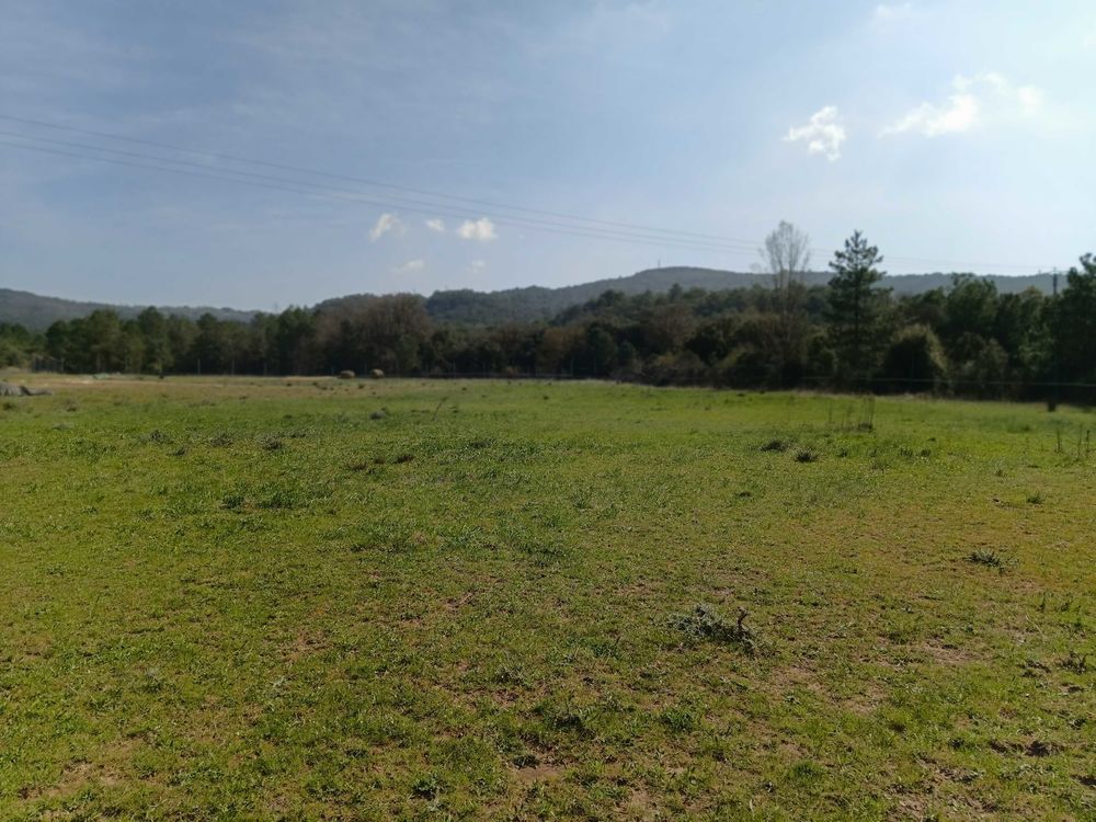 Vente Terrain terrain agricole de 14000m2 a 5 minute du lac du salagou Carlencas-et-levas