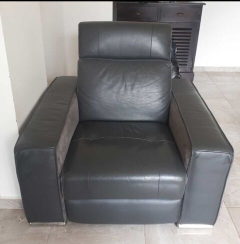 Salon cuir �lectrique gris 500 Argenteuil (95)
