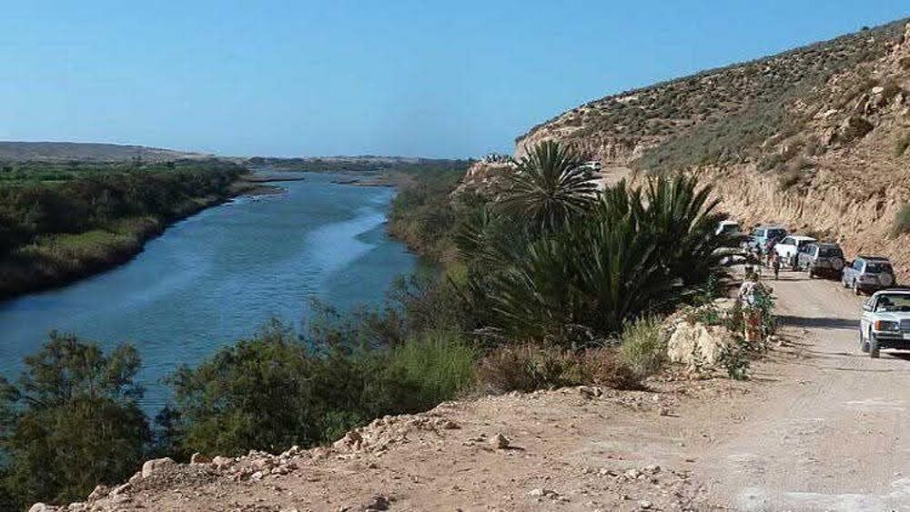 Vente Terrain Terrain 451 m²  A Massa (région d agadir) Massa (agadir ) maroc (Maroc)