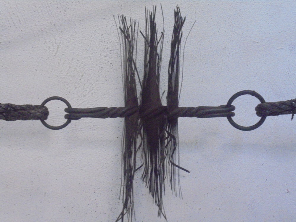 H&eacute;risson de ramonage Bricolage
