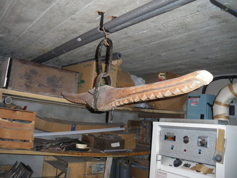 Joue de boeuf Décoration