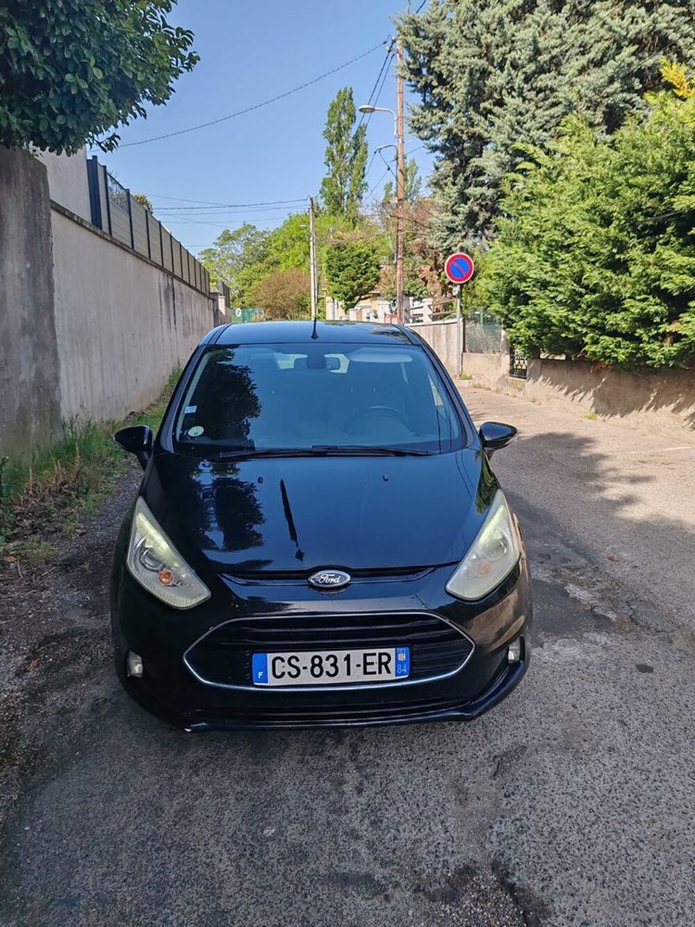 B-max B-MAX 1.5 TDCi 75 S&S Titanium 2013 occasion 69960 Corbas