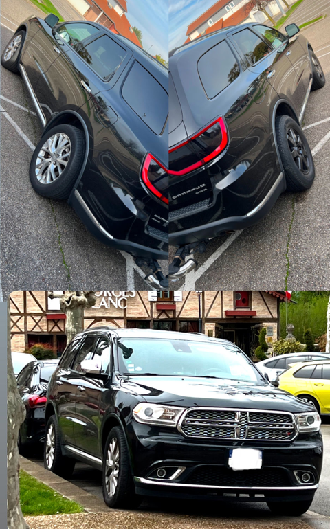 Dodge Divers Durango Citadel 2014 occasion Colombier-Saugnieu 69124