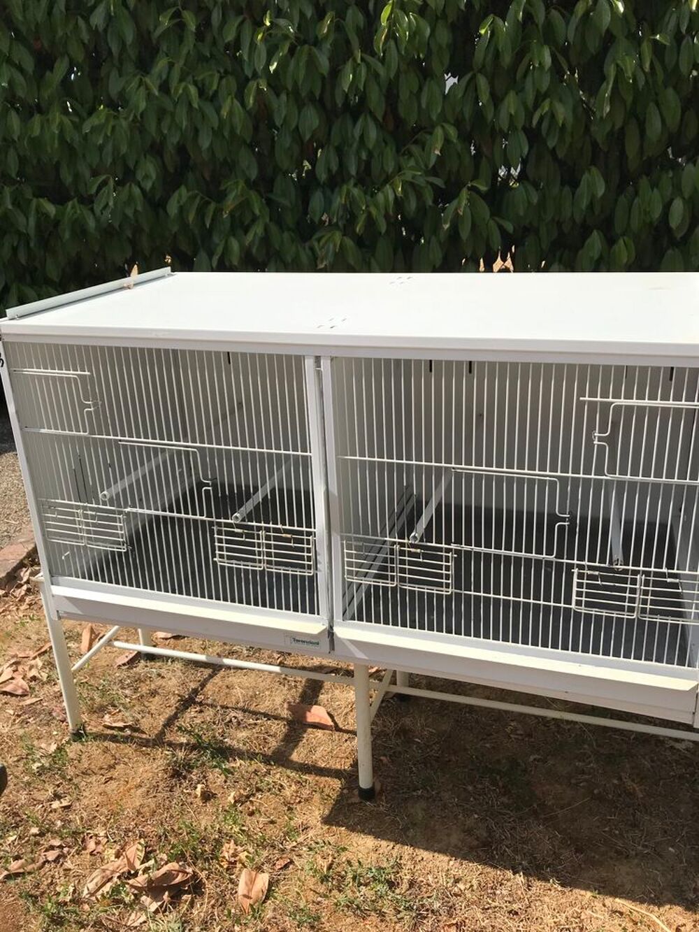  Cage élevage TERENZIANI 