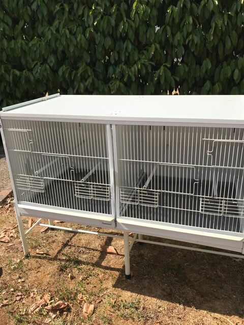 Cage &eacute;levage TERENZIANI 40 91160 Balizy