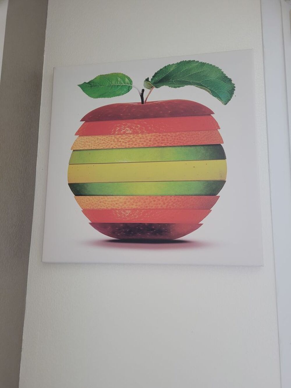 Tableau sur toile 50x50 cm Décoration