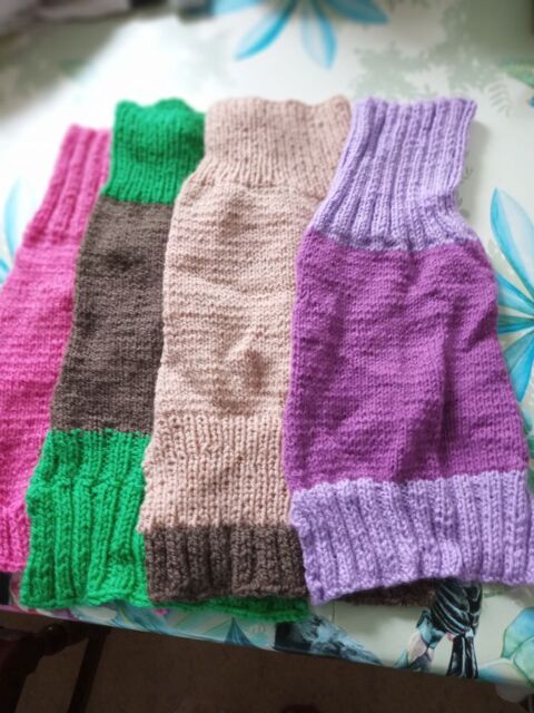 pull tricoter par moi m&ecirc;me pour aider chat errant 8 59800 Lille