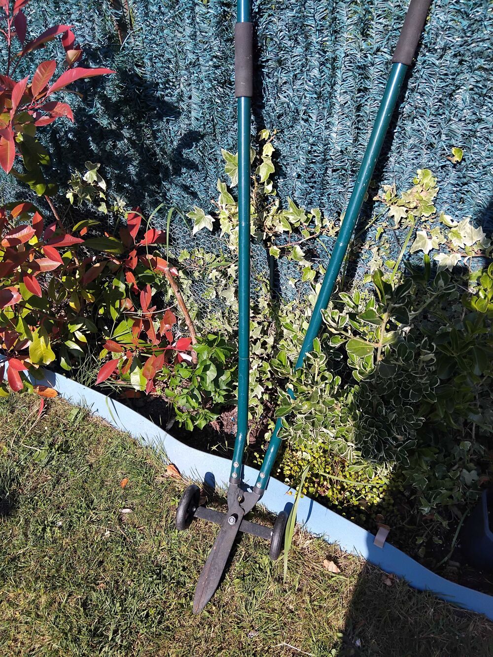 coupe bordure Jardin