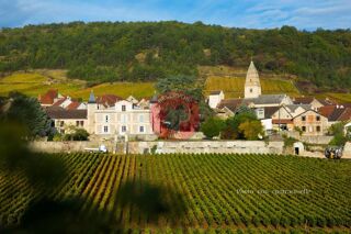  Immeuble  vendre 340 m