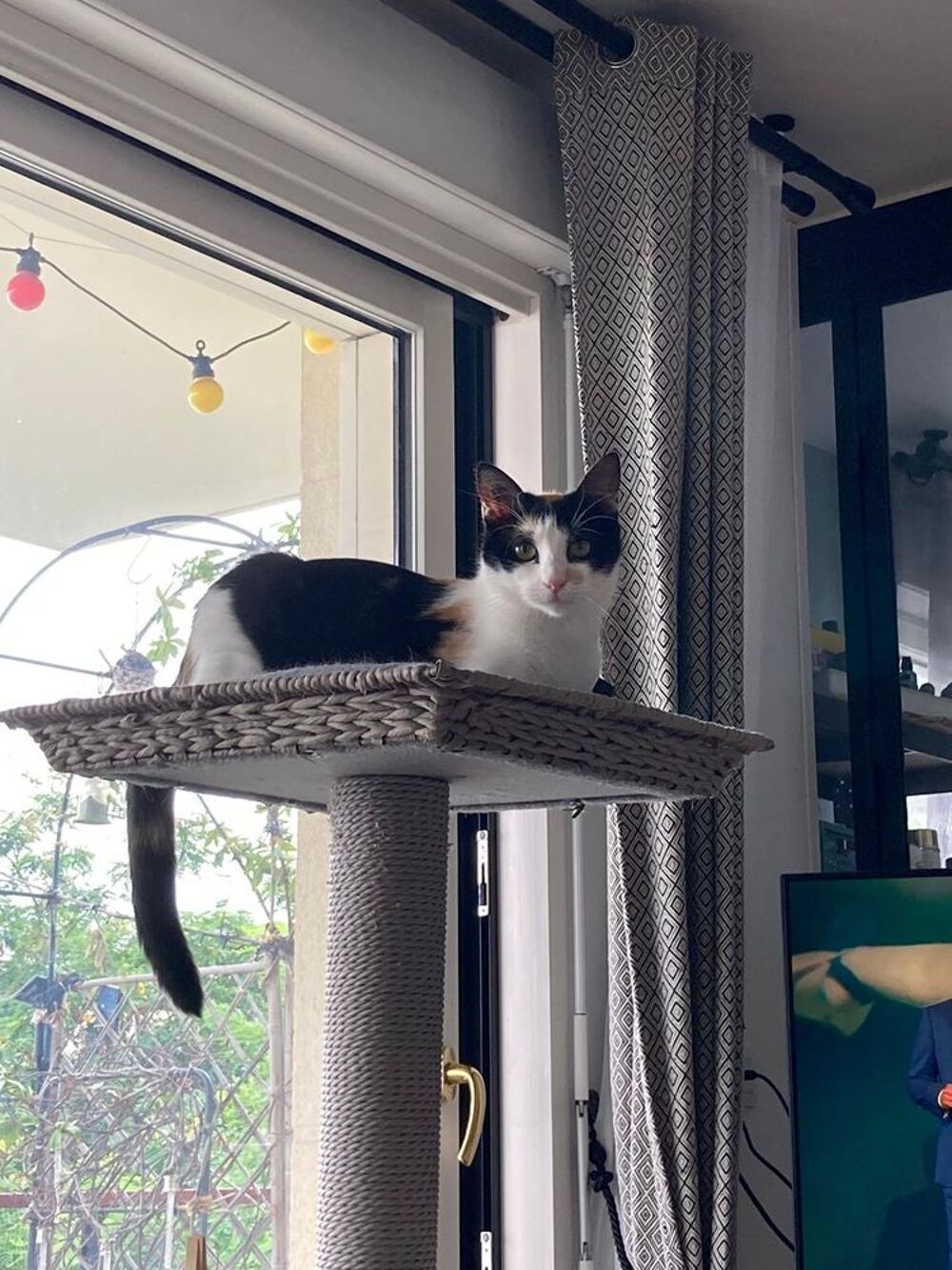    WENDY est reserve 