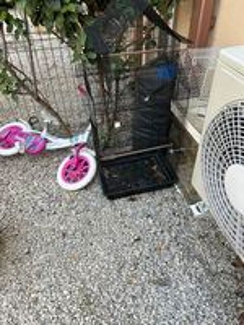   Cages oiseaux 