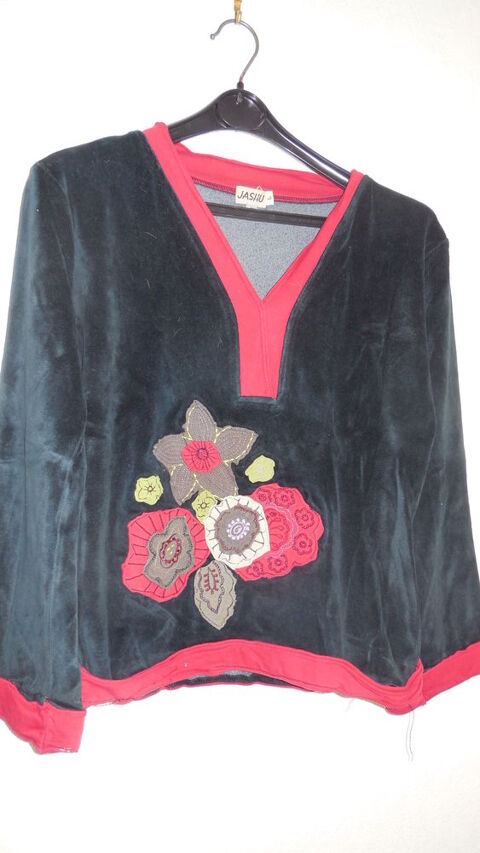 TS velours 2 Blois (41)