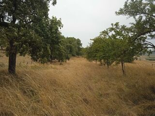  Terrain à vendre 3500 m² Holling