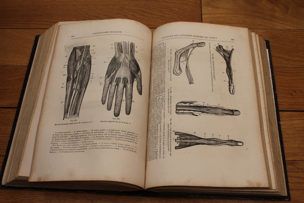LA VIE PHYSIOLOGIE HUMAINE PAR LE DOCTEUR GUSTAVE LEBON Livres et BD