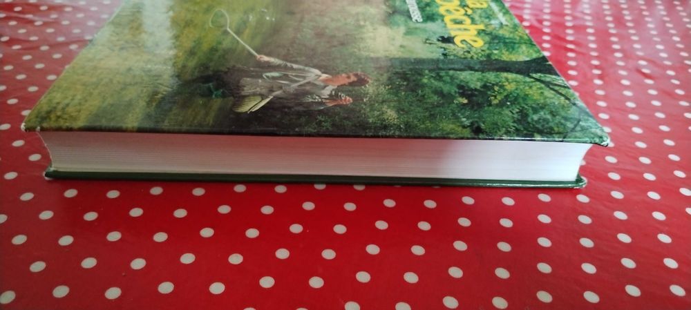 livre la p&ecirc;che Livres et BD