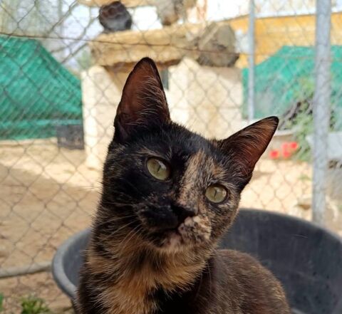 LULU 220 95610 ragny