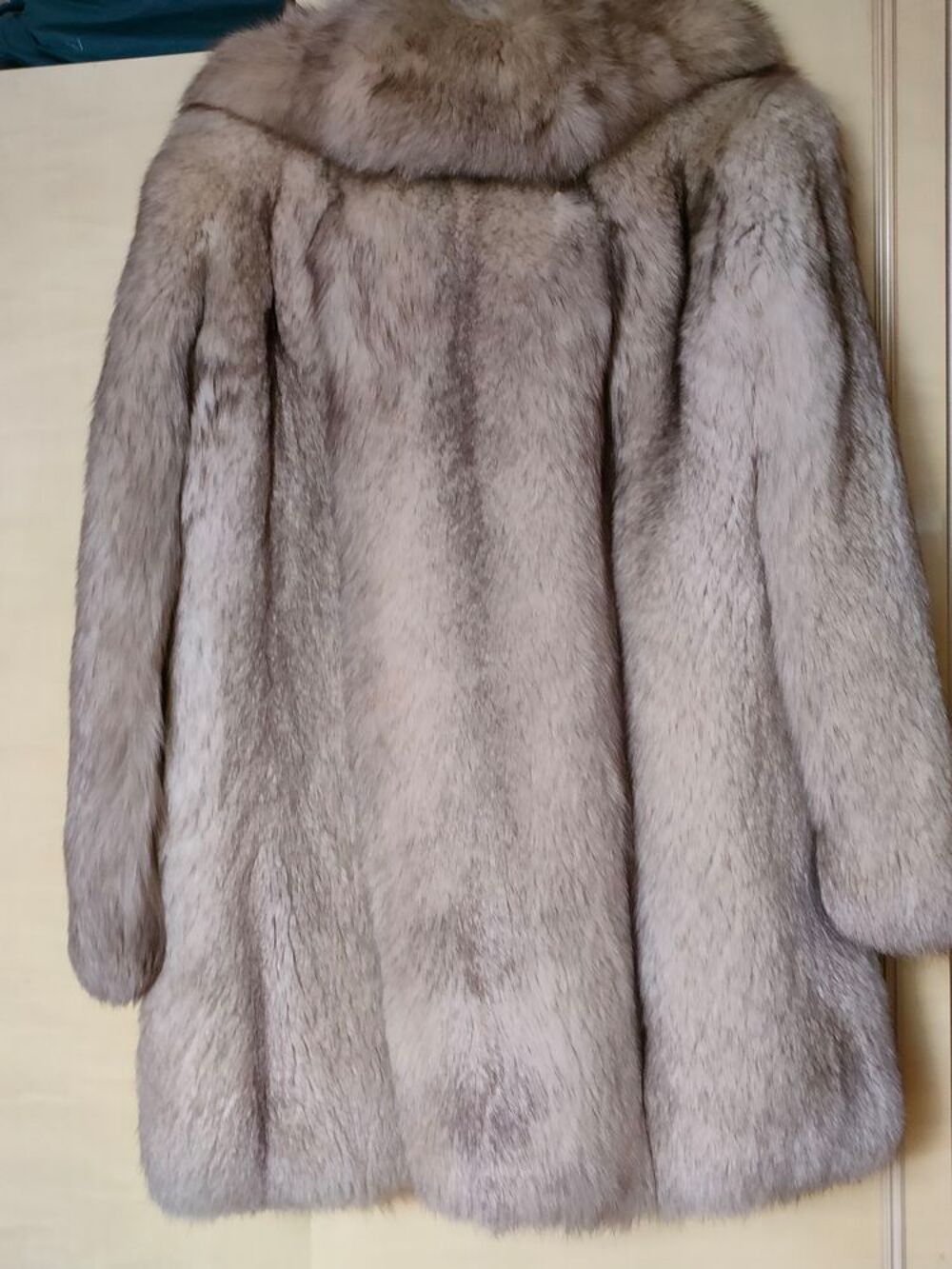 Achetez un manteau occasion, annonce vente à Paris (75) WB170075750