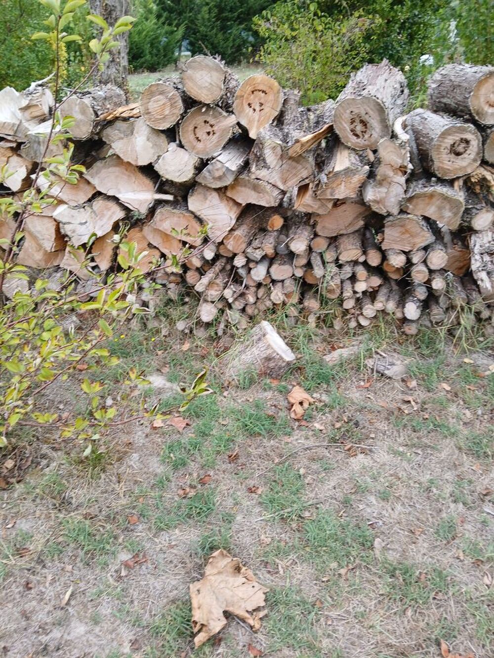 Bois Bricolage