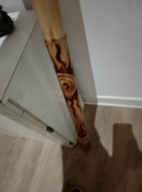 didgeridoo plus djemb� 25 Saumur (49)