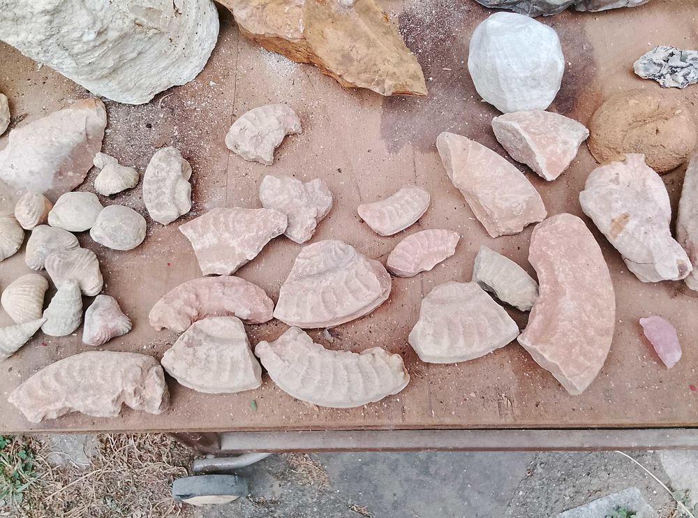 min&eacute;raux et fossiles collection 