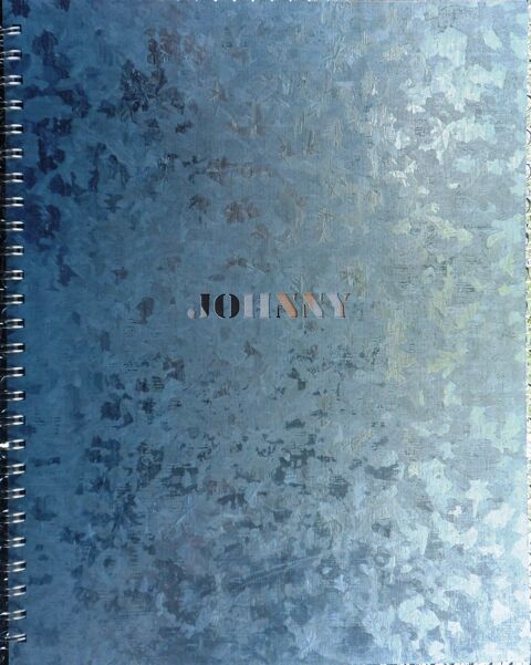 JOHNNY HALLYDAY LE LIVRE M�TAL TR�S PEU UTILIS� COMME NEUF 50 Castries (34)