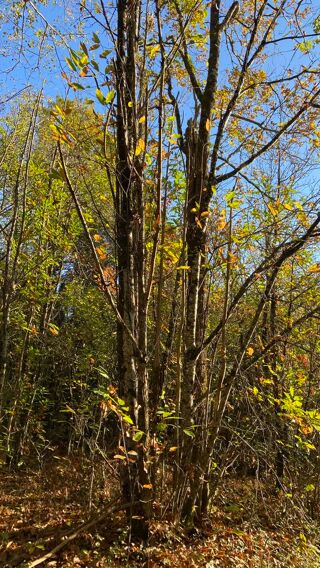  Terrain � vendre 4480 m�