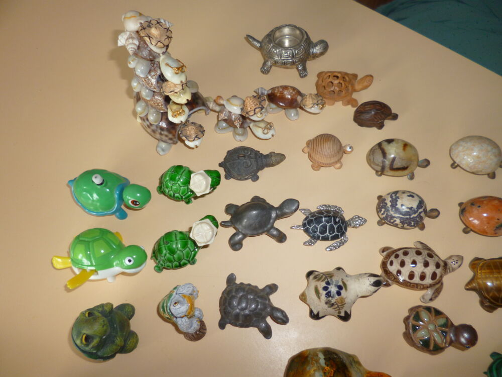 Collection Tortues 