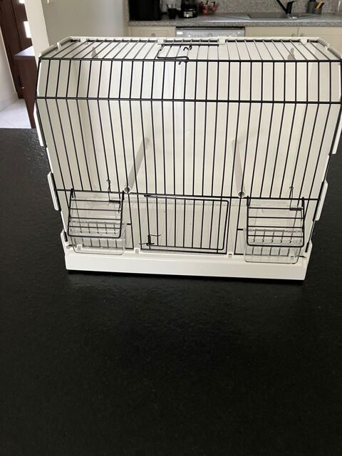 Cage oiseaux exposition  20 77340 Pontault-combault