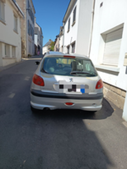 206 1.6i 16V Griffe A 2004 occasion 29300 Quimperl&eacute;