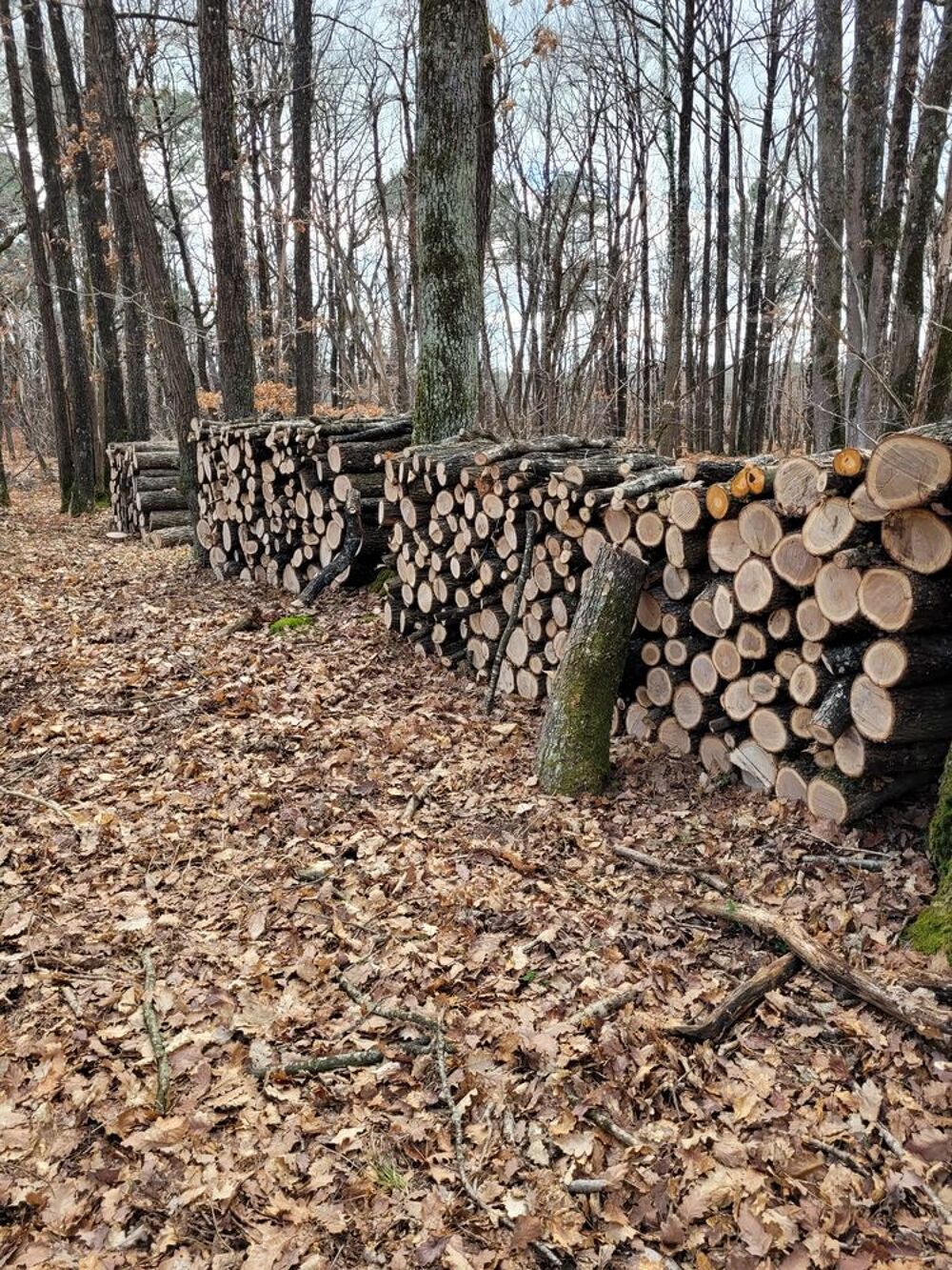 Paires de chenets -- Bois chauffage Bricolage