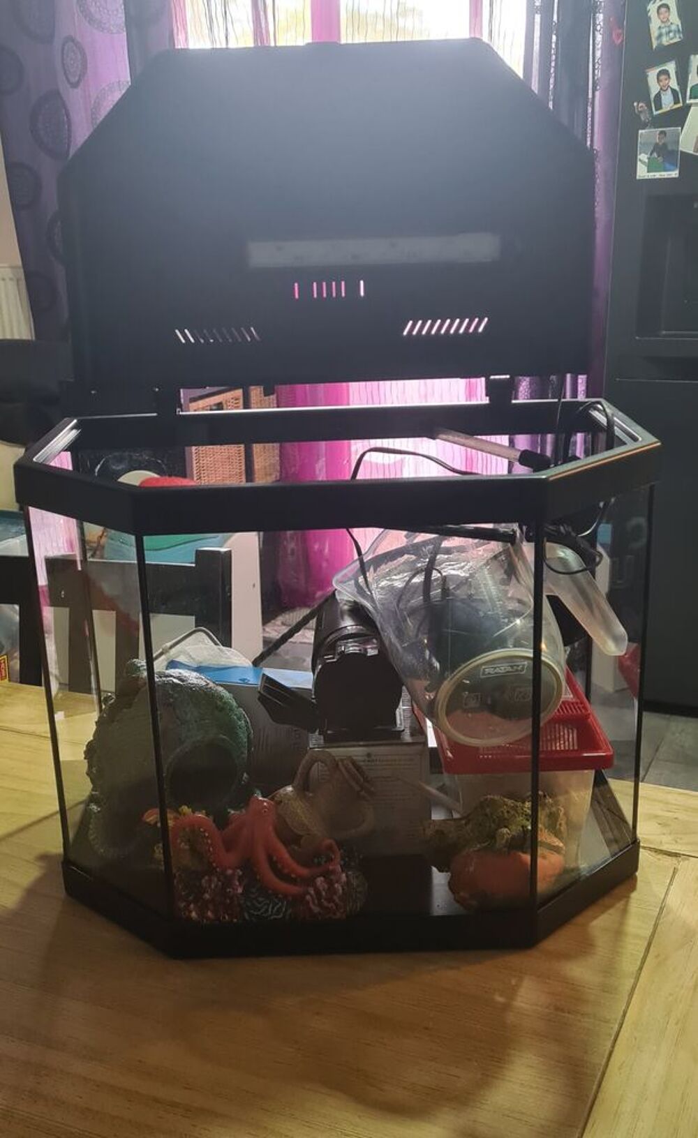 Annonce poissons, aquarium, Saint-Fons (69190) - WA178087923 - ParuVendu.fr