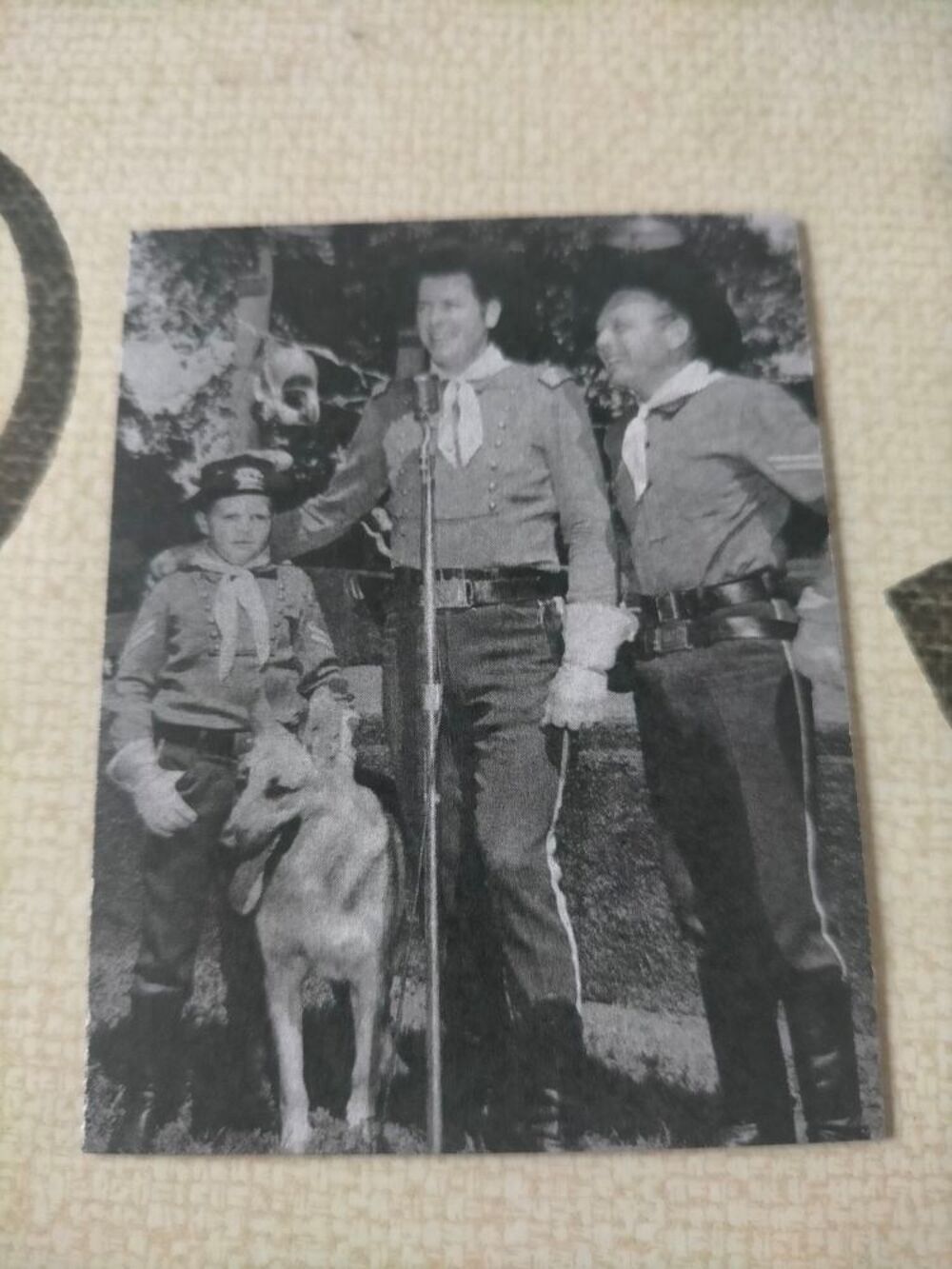 magnet rintintin 
