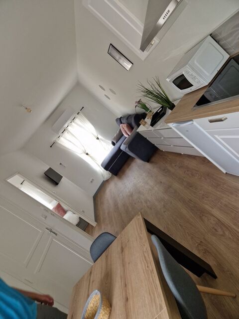  Appartement � louer 2 pi�ces 47 m�