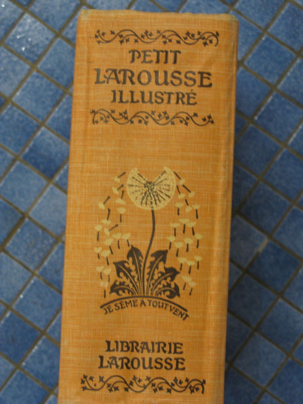 Petit Dictionnaire Illustr&eacute; Larousse Livres et BD