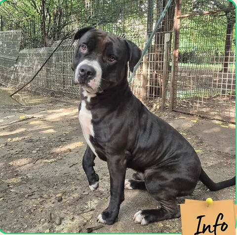 Urus 230 26700 Pierrelatte