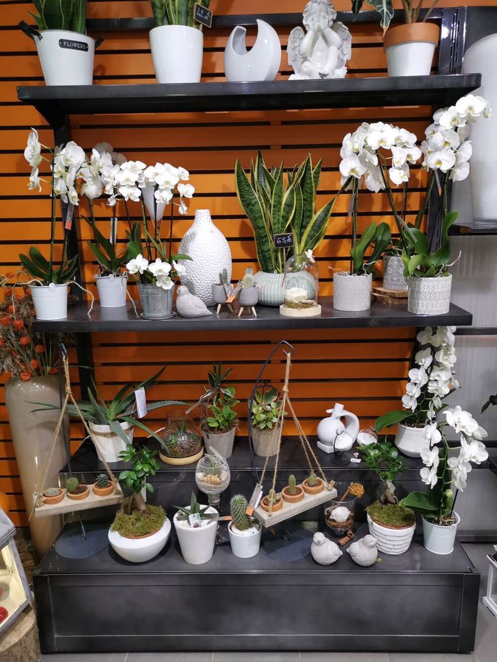 Ensemble mobilier fleuriste Meubles