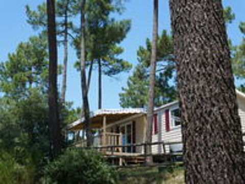  2020 occasion 17570 La Palmyre