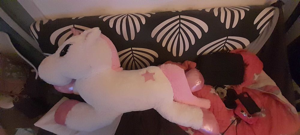 peluche licorne Jeux / jouets